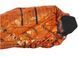Спасательный термомешок Lifesystems Heatshield Bag 805932 фото 1