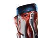 Рюкзак Deuter Trail PRO 34 SL 3441219 3523 фото 3