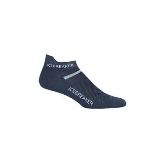 Носки Icebreaker Multisport UltraLight micro WMN Жен. мультиспортивные