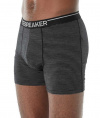 Трусы Icebreaker 150 Anatomica Boxer Stripe M Муж. шерстяные small1
