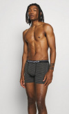 Трусы Icebreaker 150 Anatomica Boxer Stripe M Муж. шерстяные small2