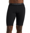 Трусы Icebreaker Men's Merino 200 Oasis Thermal Shorts Муж. удлиненные шерстяные small3