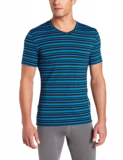 Футболка Icebreaker Anatomica SS V Муж.